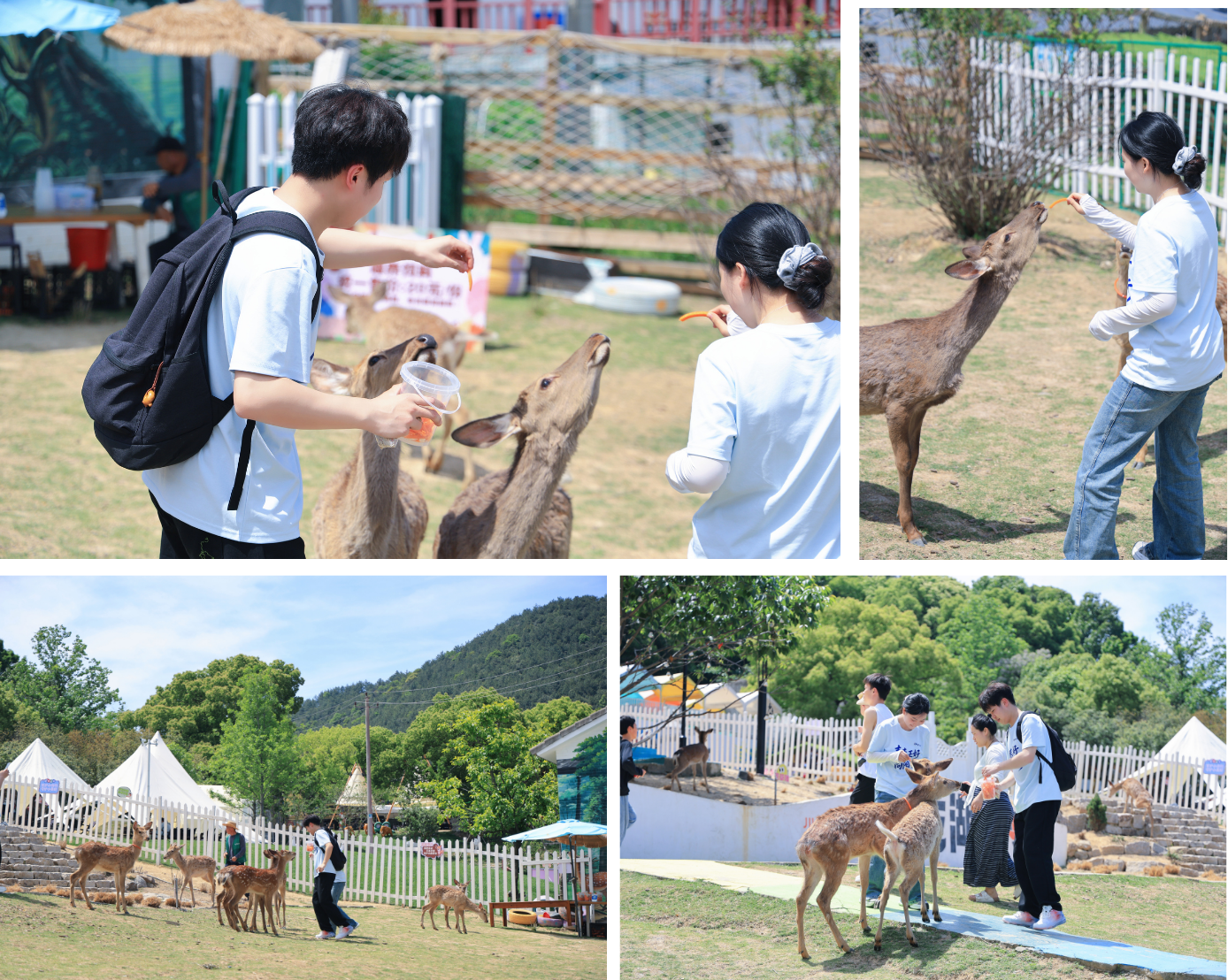 1778642207958835Gfa8.png 新闻配图(11).png